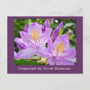 Custom Postcards Inspired by True Events! Rhodies