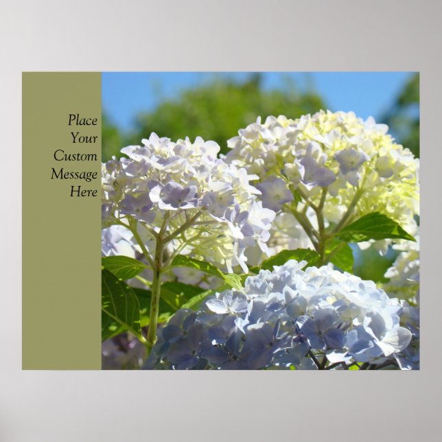 Custom Posters Blue Hydrangea Flowers art prints (Front)