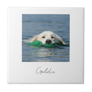 Custom print personalized ceramic dog photo tile