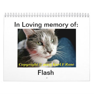 Custom Printed Cat Calendar