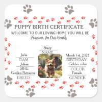Custom Puppy Birth Certificate