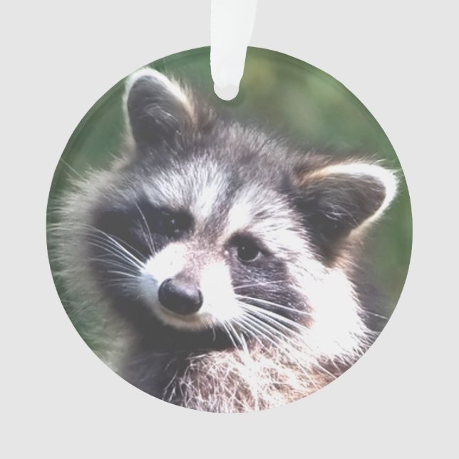 Custom Raccoon Photo Ornament (Front)