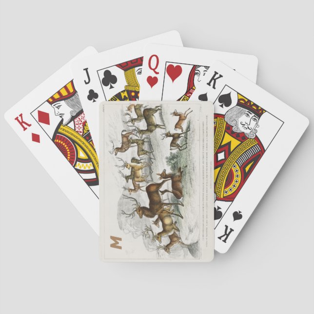 Custom Red Deer Hart, Hind, Roebuck, Musk Deer Playing Cards (Back)