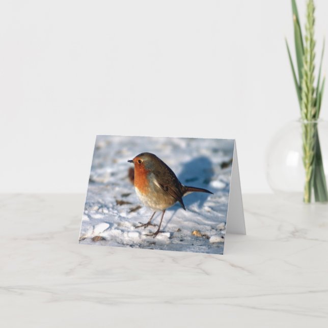 Custom Robin in the Snow Holiday Card (Front)