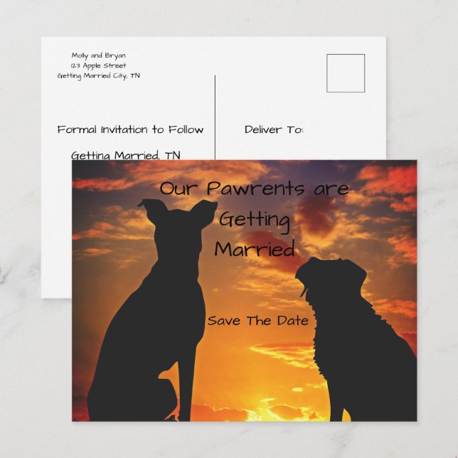 Custom Save the Date from the Dogs Announcement Postcard (Front/Back)