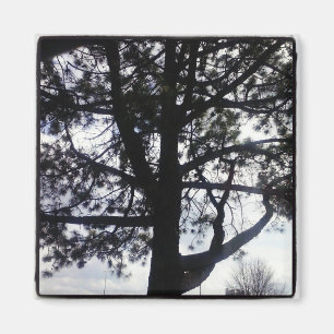 Custom Shadowy Pine Tree Square Magnet