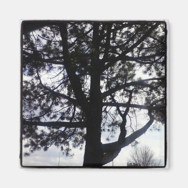Custom Shadowy Pine Tree Square Magnet (Front)