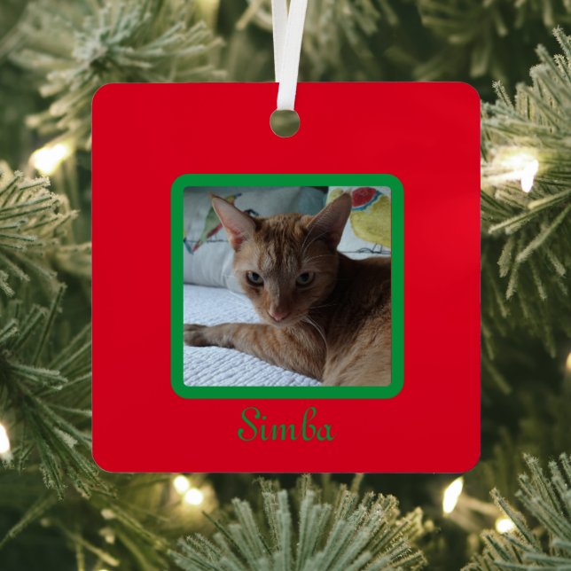 Custom Simple Modern Pet Photo Red Green Metal Ornament (Insitu)