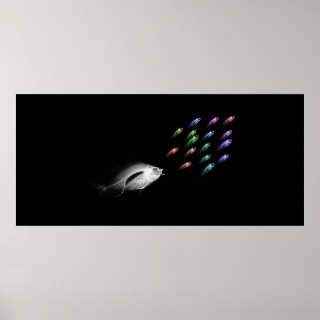 Custom Size Xray Fish Tank Aquarium Background  Poster (Front)