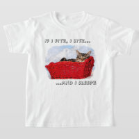 Custom Sleeping Grey Kitten In Red Basket Front