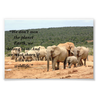 Custom Slogan/Conservation Elephant Herd Photo Print