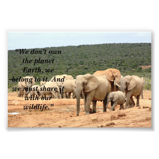 Custom Slogan/Conservation Elephant Herd Photo Print (Front)