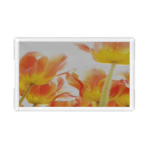 custom small rectangle tray