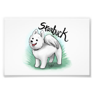 Custom - Starbuck Print