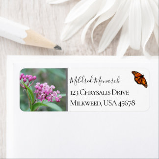 Custom Swamp Milkweed Photo Native Wildflower