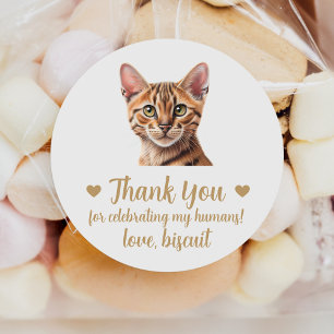 Custom Tabby Cat Wedding Favour Stickers