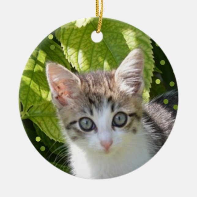 Custom Tabby Kitten Photo Ceramic Ornament (Front)
