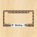 Custom Template Photo Pet Cat Dog License Plate Frame<br><div class="desc">This design may be personalized in the area provided by changing the photo and/or text. Or it can be customized by choosing the click to customize further option and delete or change the colour, the background, add text, change the text colour or style, or delete the text for an image...</div>