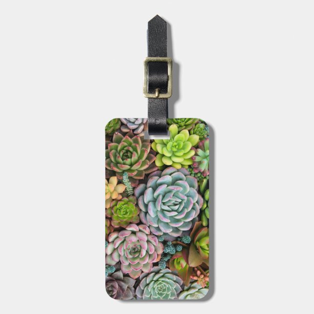 Custom text Cactus Succulents luggage tag (Front Vertical)