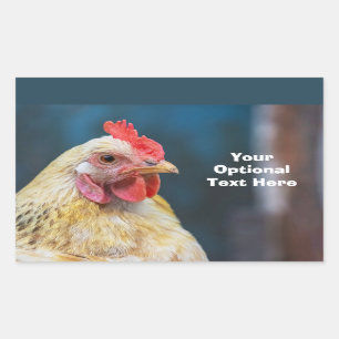 Custom Text Chicken Sticker