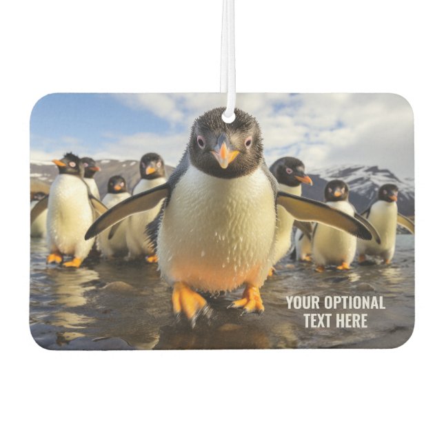 Custom Text Cool Penguins Air Freshener (Front)