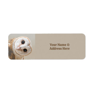 Custom Text Cute Barn Owl