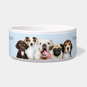 Custom text Cute Puppies