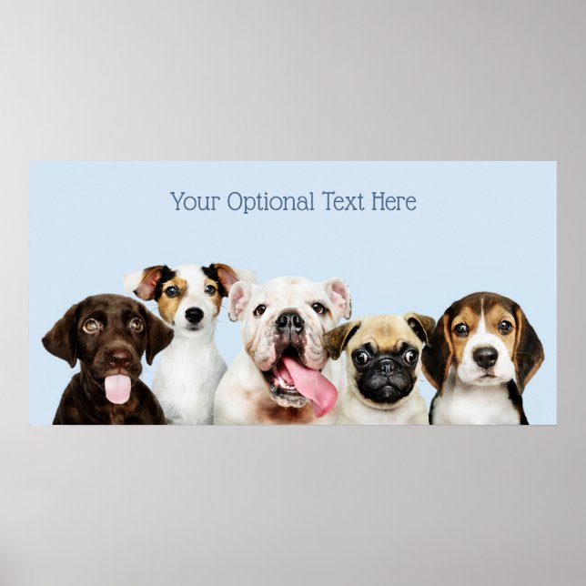 Custom text Cute Puppies Poster (Front)