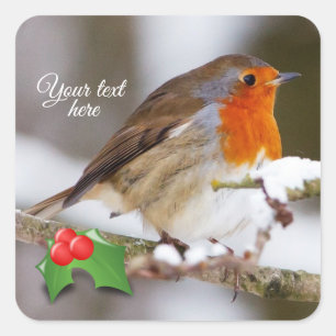 Custom Text Cute Robin in snow  Square Sticker