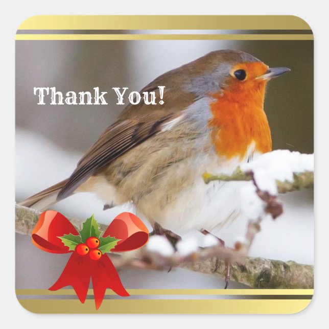 Custom Text cute robin Thank You  Square Sticker (Front)