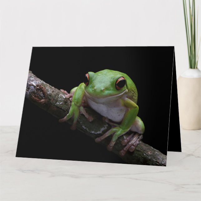 Custom Text Frog Card (Front)