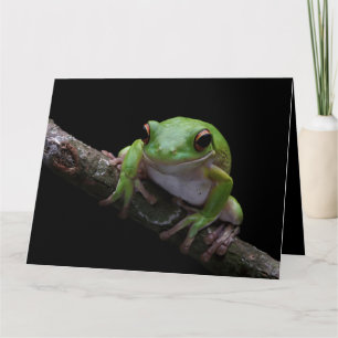 Custom Text Frog Card