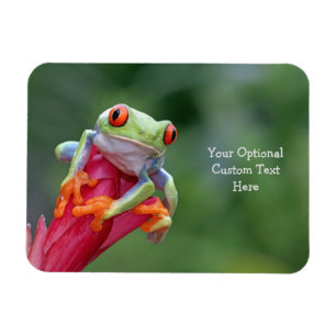 Custom Text Frog Magnet