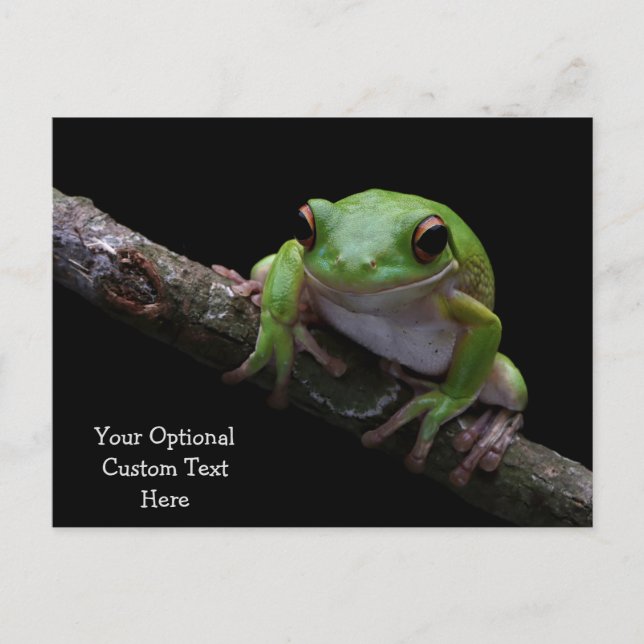 Custom Text Frog Postcard (Front)