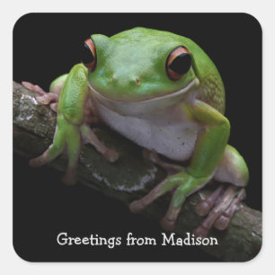 Custom text Frog Square Sticker