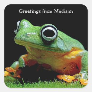 Custom text Frog Square Stickers