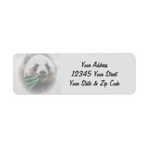 Custom  Text Panda