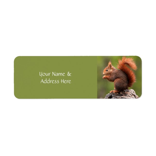 Custom Text Squirrel (Front)