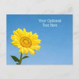 Custom text Sunflower Postcard