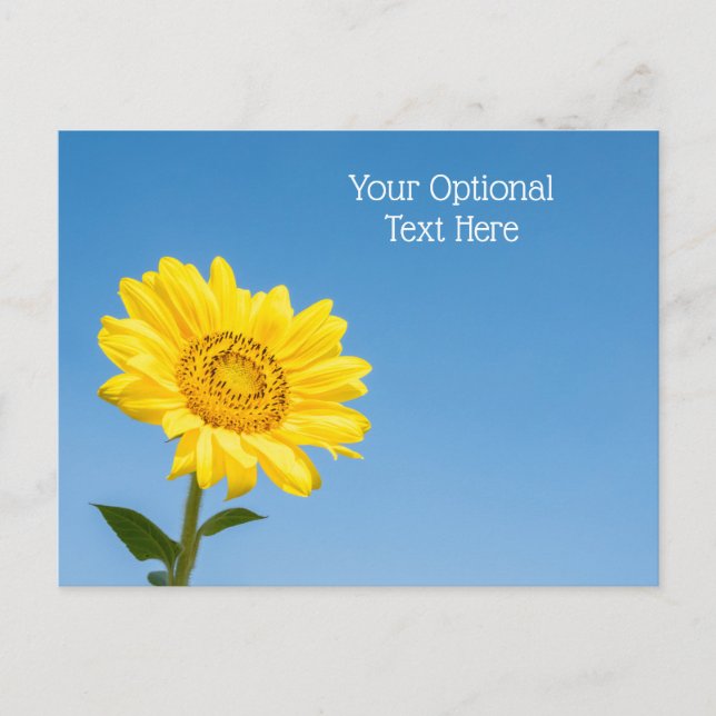 Custom text Sunflower Postcard (Front)