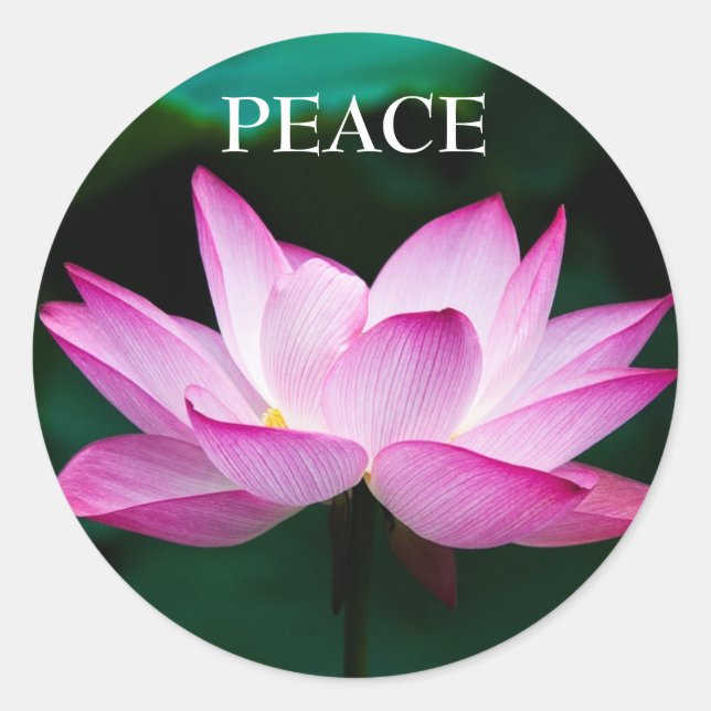 Custom Text Zen Pink Lotus Flower Peace Sticker (Front)