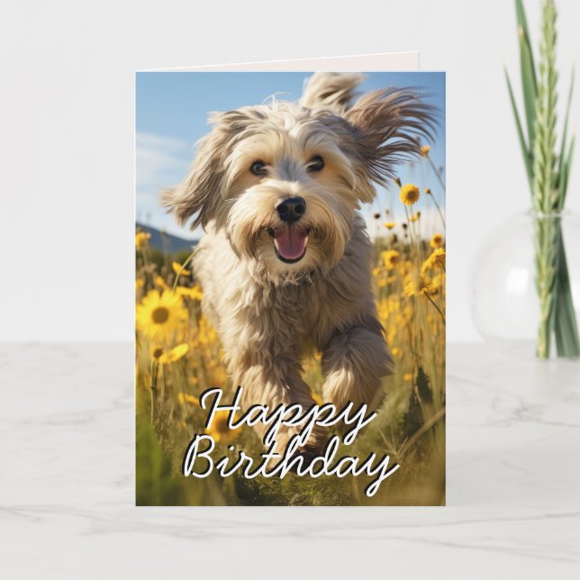 Custom Tibetan Terrier Birthday Card (Front)