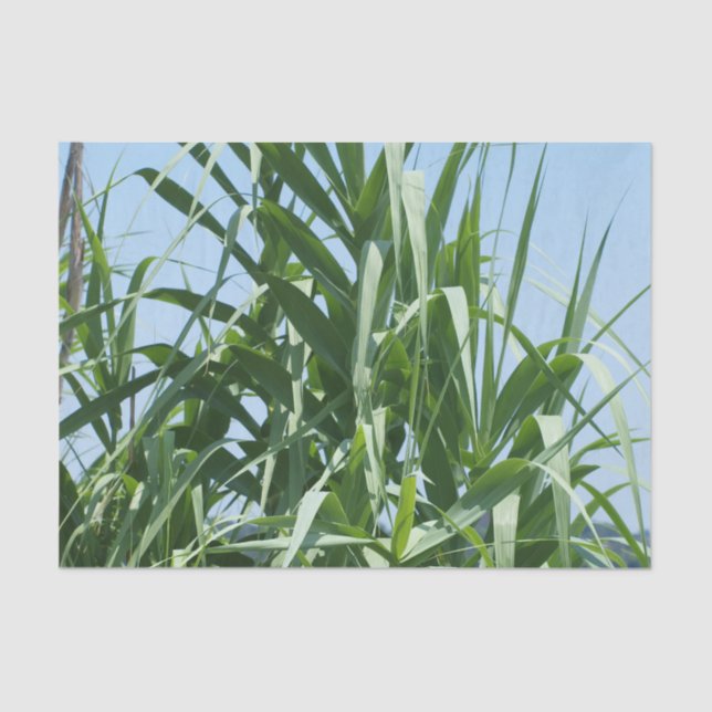 Custom Tissue Paper (Front)