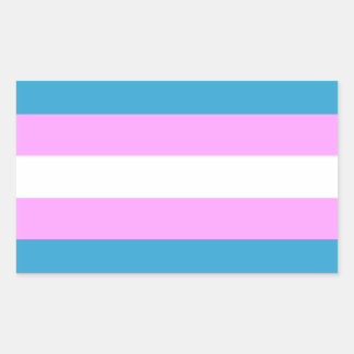 Custom Trans Flag Sticker
