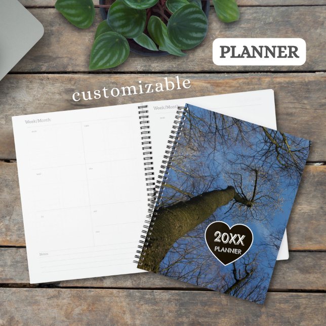 Custom Tree Crown Branches on blue Sky Photo - Planner (Creator Uploaded)