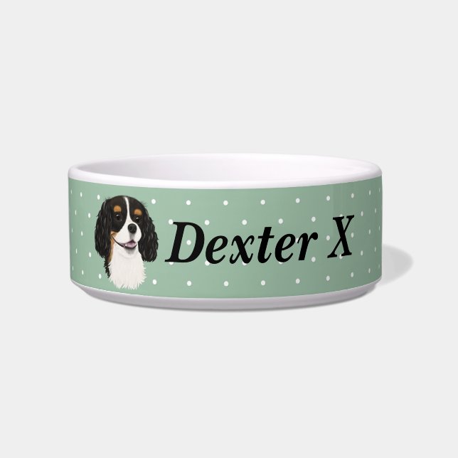 Custom Tri Cavalier King Charles Spaniel     Bowl (Front)