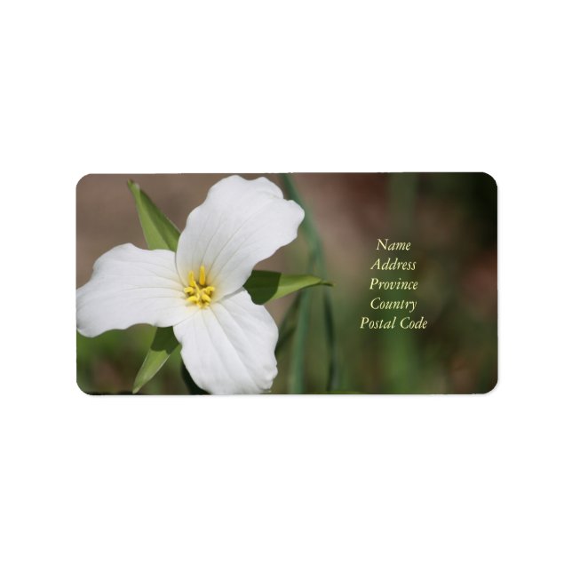 Custom Trillium Label (Front)