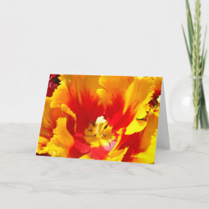 Custom Tulip Cards Yellow Red Tulips Card Blank