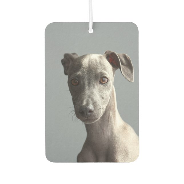 Custom Two-sided Pet Dog Photo Personalized Car Air Freshener (Front)