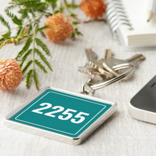 Custom Vehicle Number Plate Keychain